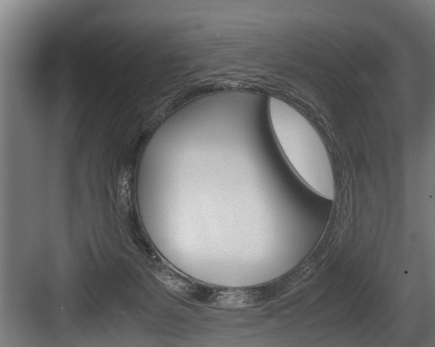 X0000083620127200702120759