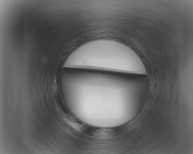 X0000083620128200702120759