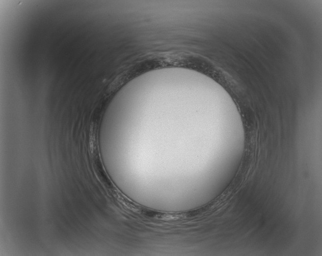 X0000083620129200702120759