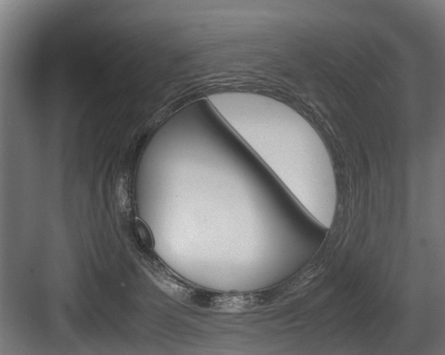 X0000083620131200702120759