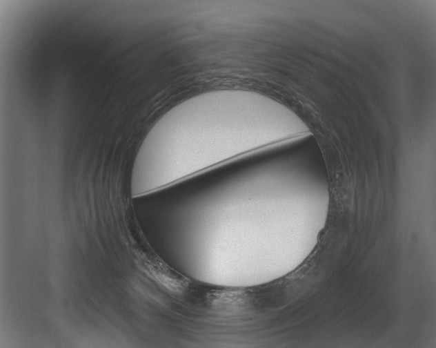 X0000083620132200702120759