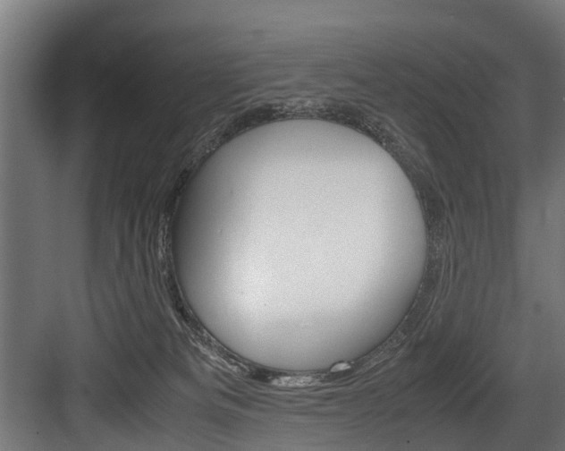 X0000083620133200702120759