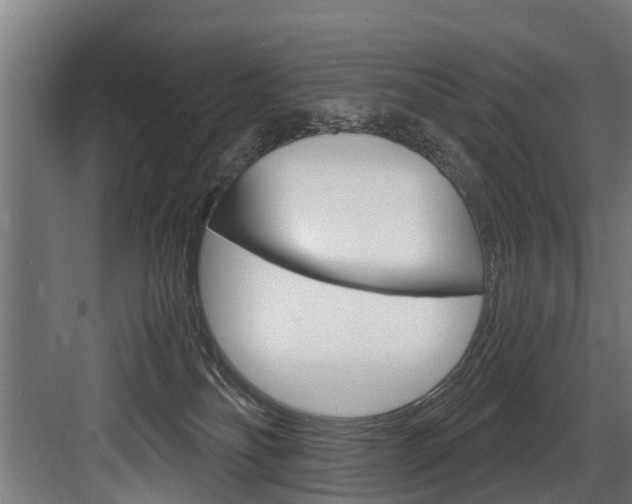 X0000083620134200702120759