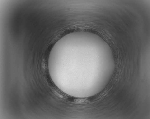 X0000083620135200702120759