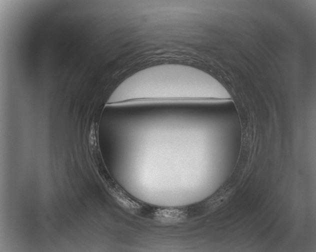 X0000083620137200702120759