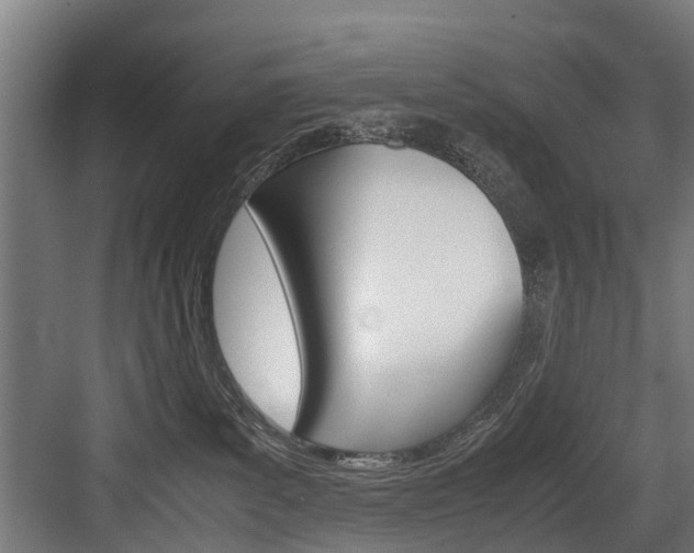 X0000083620139200702120759