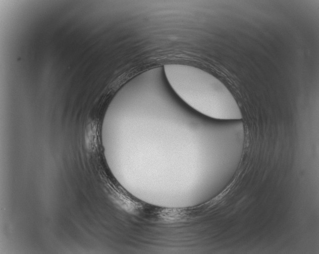 X0000083620142200702120759