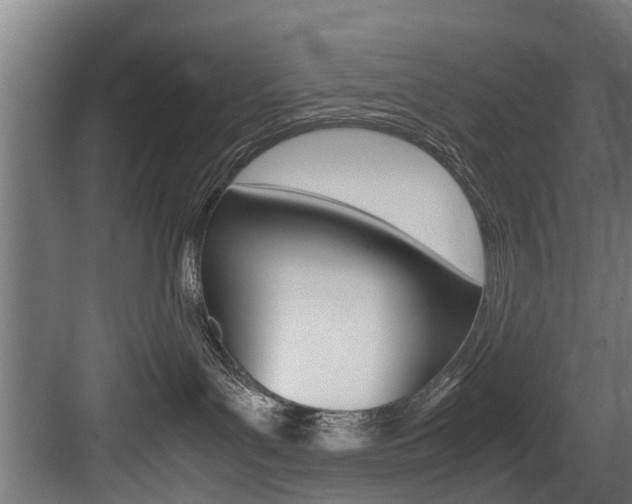 X0000083620143200702120759