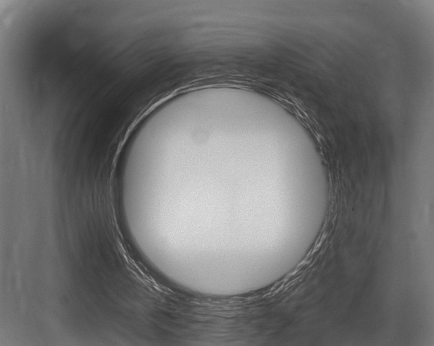 X0000083620146200702120758