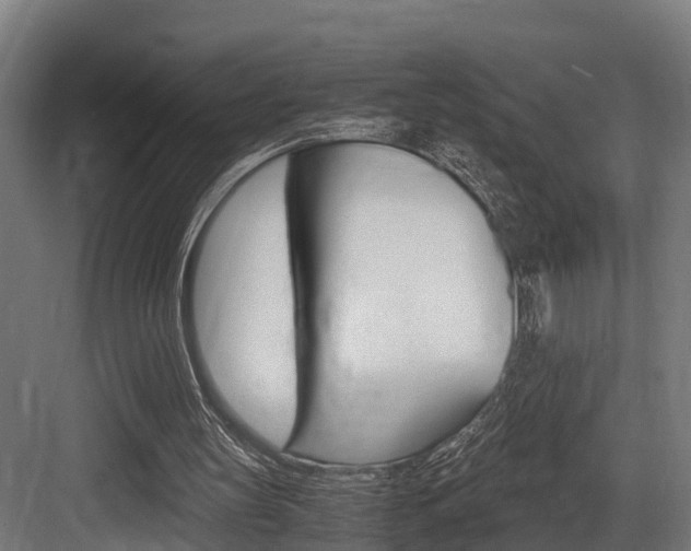 X0000083620147200702120758
