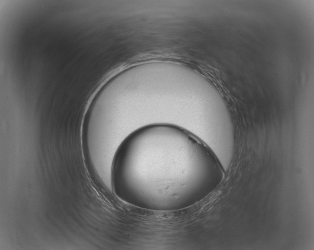 X0000083620148200702120758