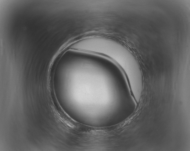 X0000083620150200702120758