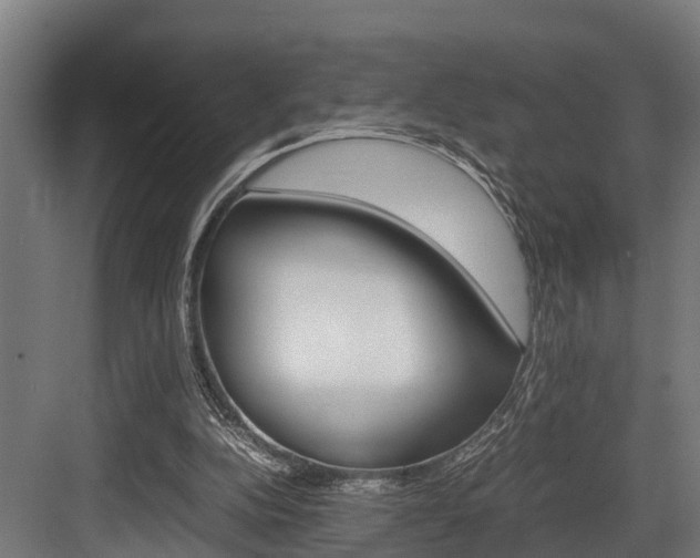 X0000083620152200702120758