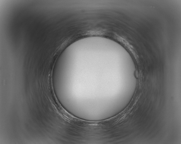 X0000083620153200702120758