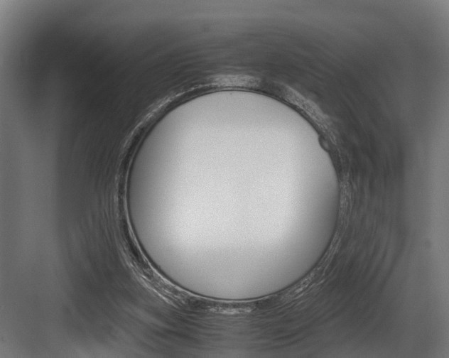 X0000083620155200702120758