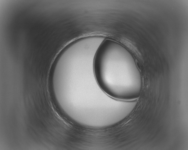 X0000083620156200702120758