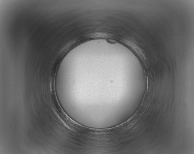 X0000083620157200702120758