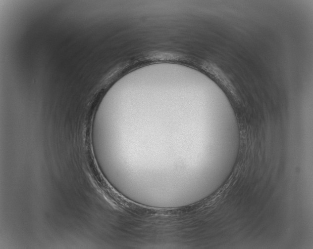 X0000083620159200702120758