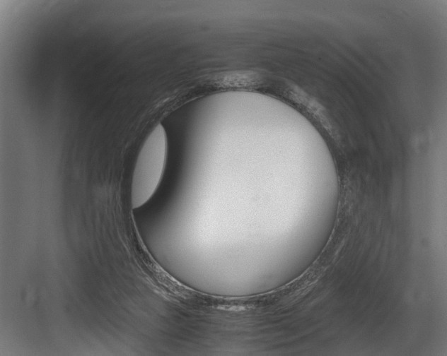 X0000083620161200702120758