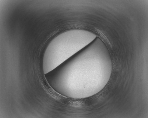 X0000083620163200702120758