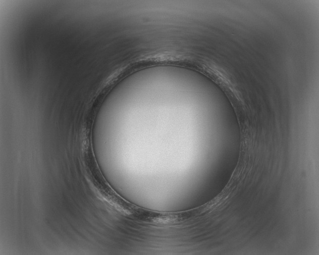 X0000083620164200702120758