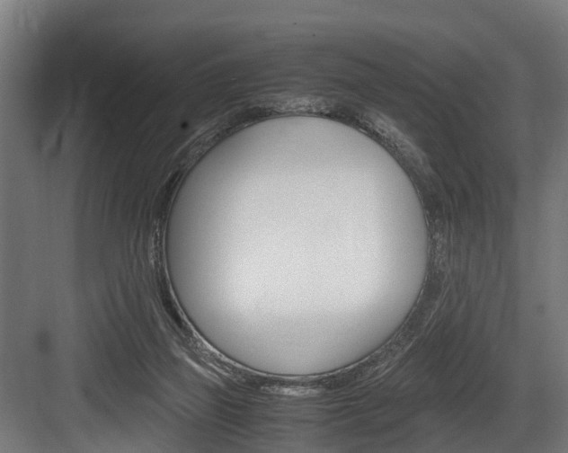 X0000083620165200702120758