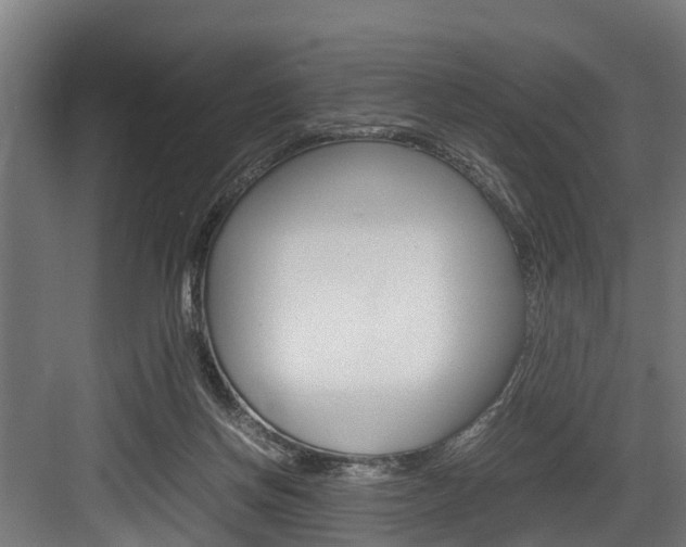 X0000083620166200702120758