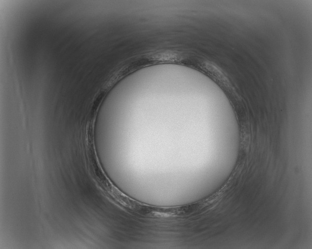 X0000083620167200702120758