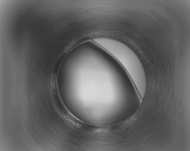 X0000083620168200702120758