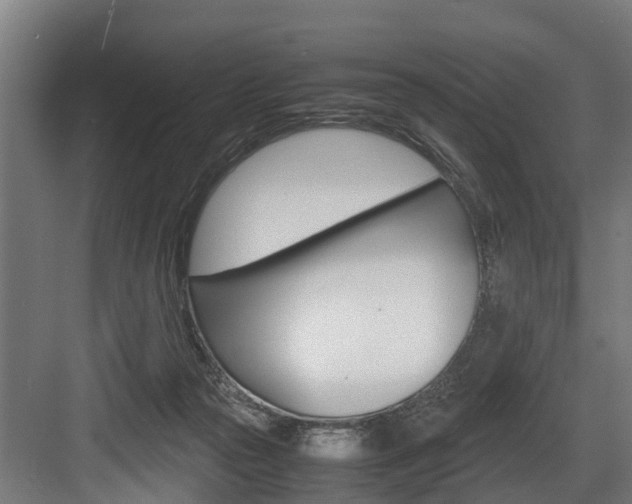 X0000083620169200702120758
