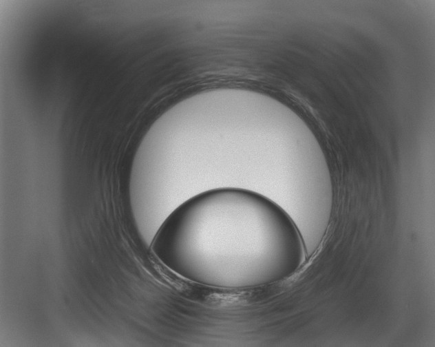 X0000083620170200702120759