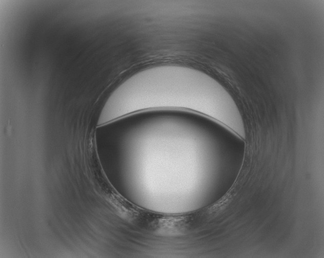 X0000083620172200702120759