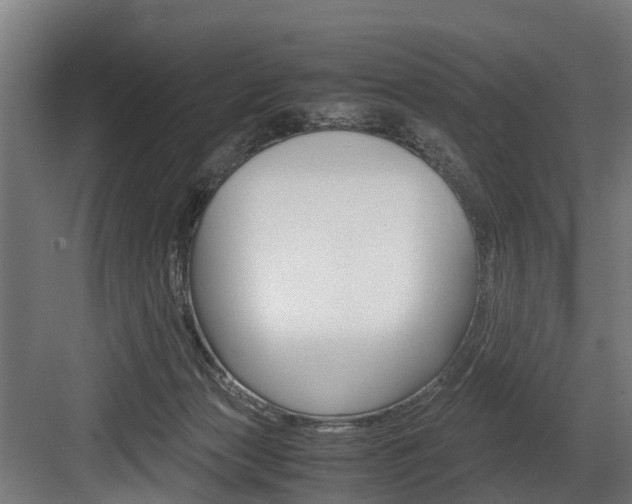 X0000083620173200702120759