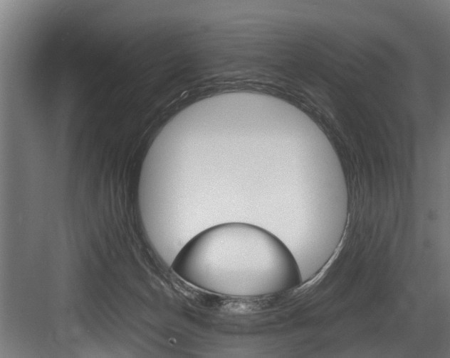X0000083620174200702120759