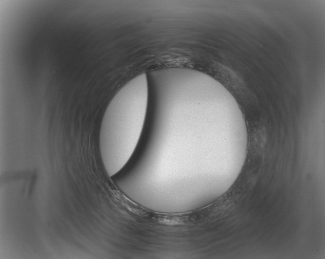 X0000083620177200702120759