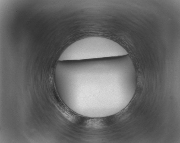 X0000083620179200702120759