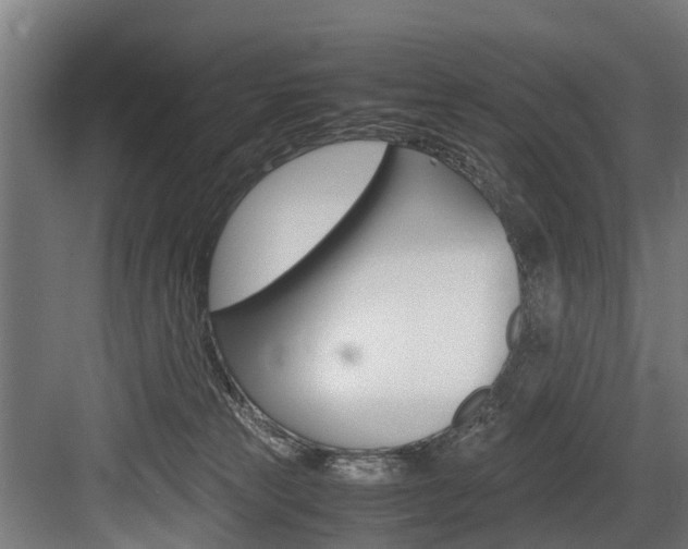 X0000083620181200702120759