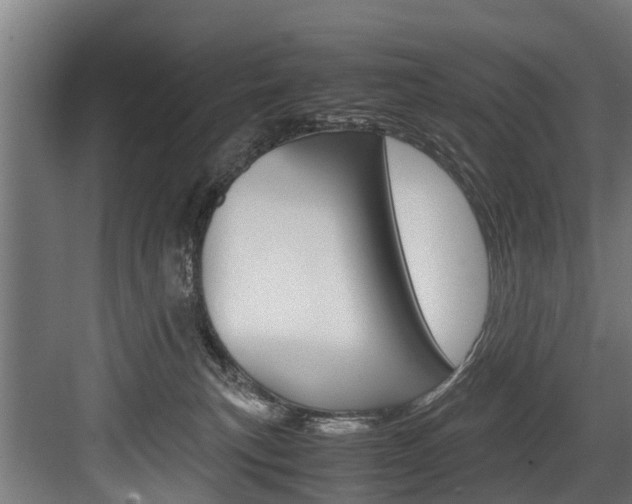 X0000083620183200702120759