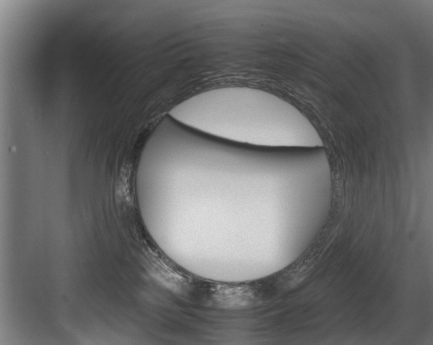 X0000083620185200702120759