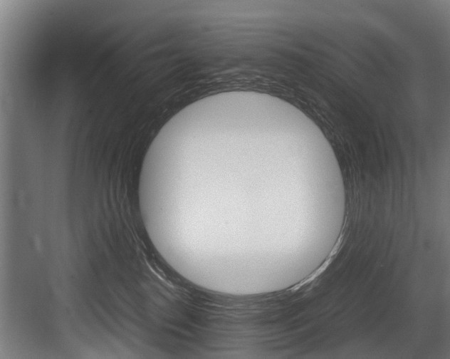 X0000083620186200702120759