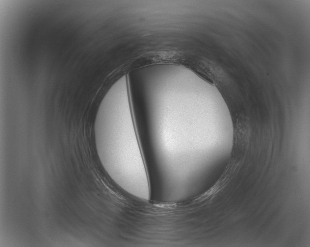 X0000083620188200702120759