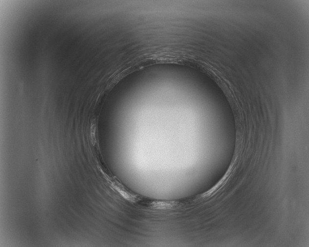 X0000083620192200702120759