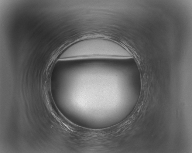X0000083620193200702120758