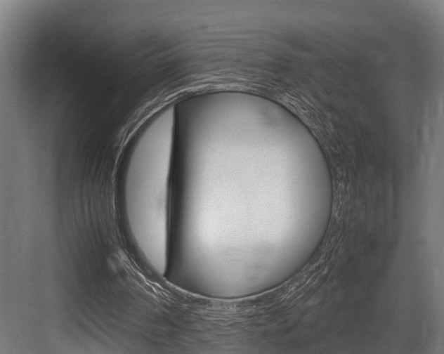 X0000083620194200702120758