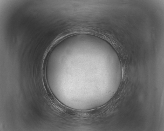 X0000083620195200702120758