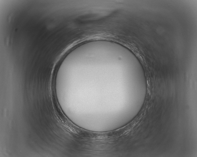 X0000083620196200702120758