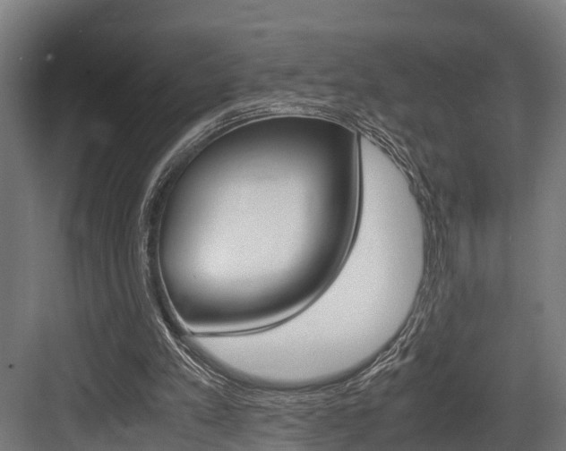 X0000083620197200702120758