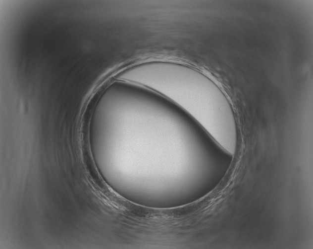 X0000083620199200702120758