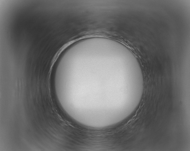 X0000083620200200702120758