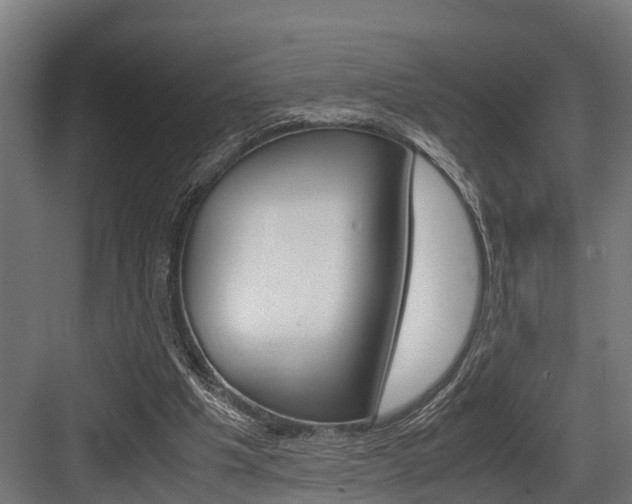 X0000083620201200702120758